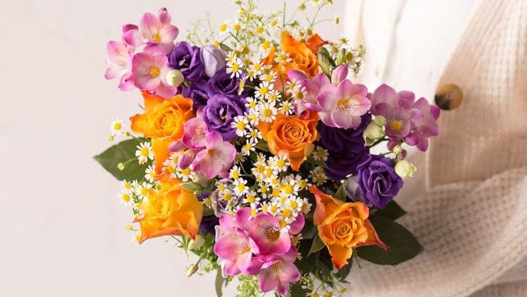 Bunches Discount Cover